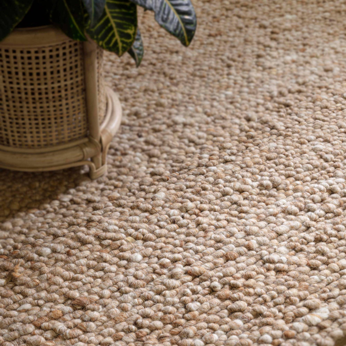 Almira Honey Rug