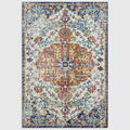 Alvo Rugs Novella Nv12 medallion area rug featuring a vibrant multi-coloured distressed pattern on a durable pile.