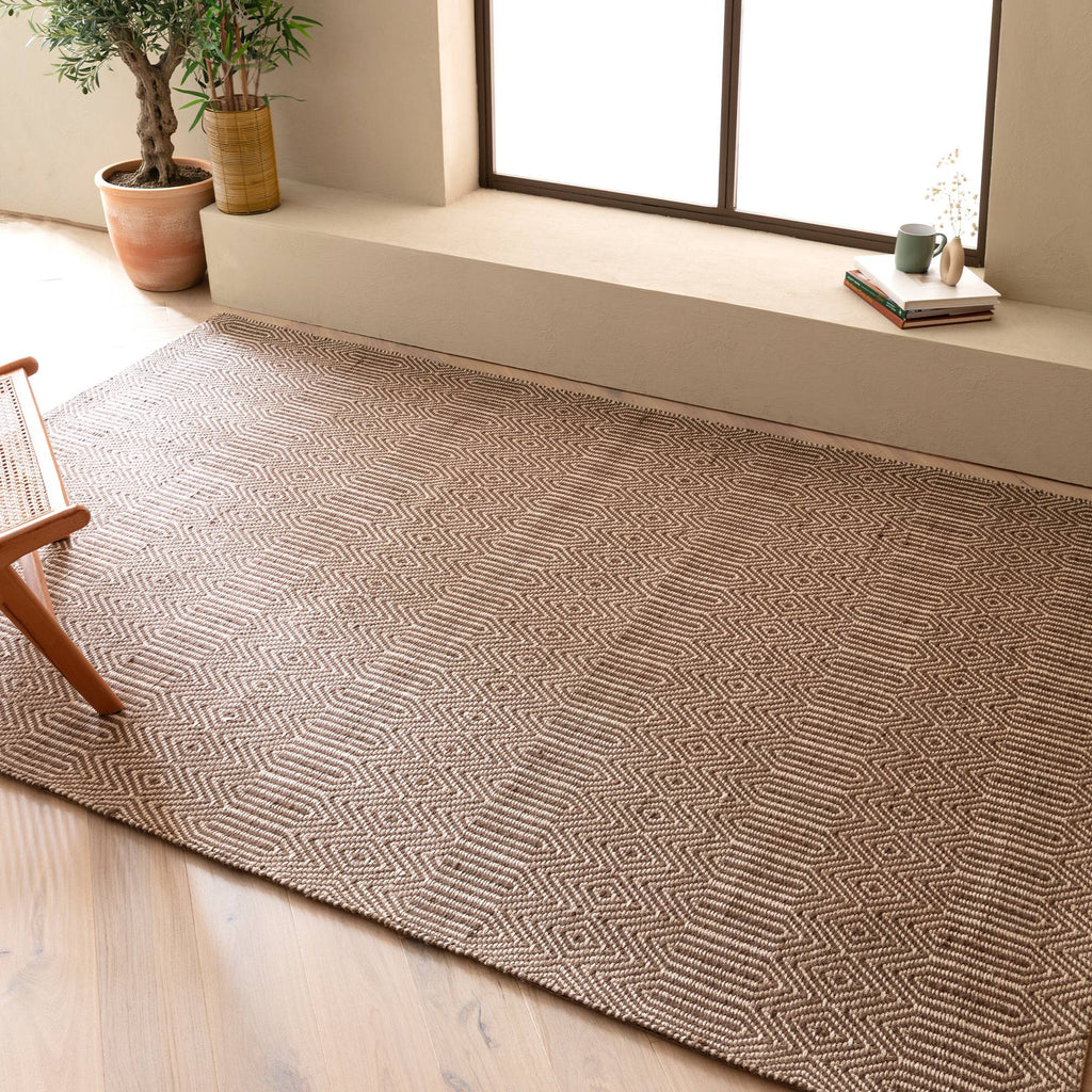 Solon Taupe Rug