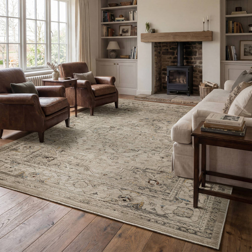 Sovra Ash Medallion Rug